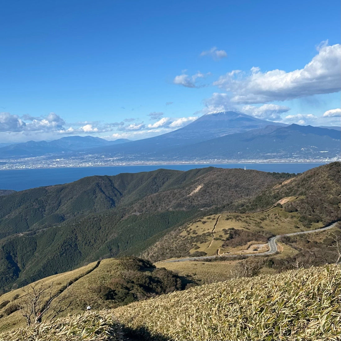 【2026年最新版】トレラン初心者必見！完走しやすい関西のトレイルランニング大会10選