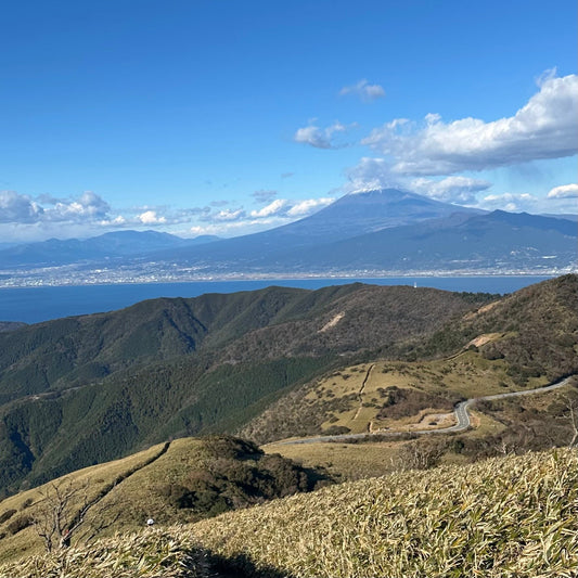 【2026年最新版】トレラン初心者必見！完走しやすい関西のトレイルランニング大会10選