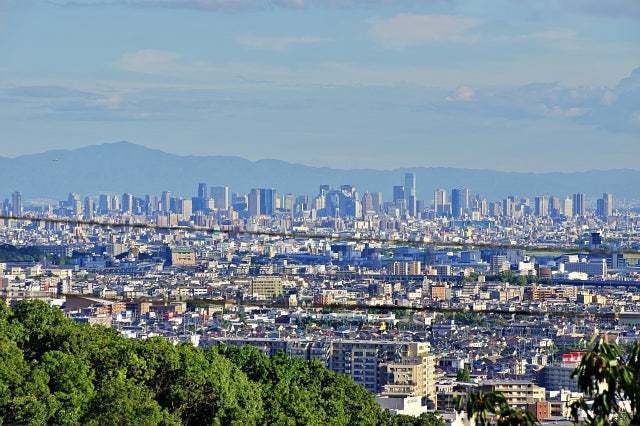 【2026年版】初心者も参加しやすい大阪府のトレイルレース全8選