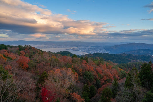 【2026年版】初心者も参加しやすい京都のトレイルレース5選