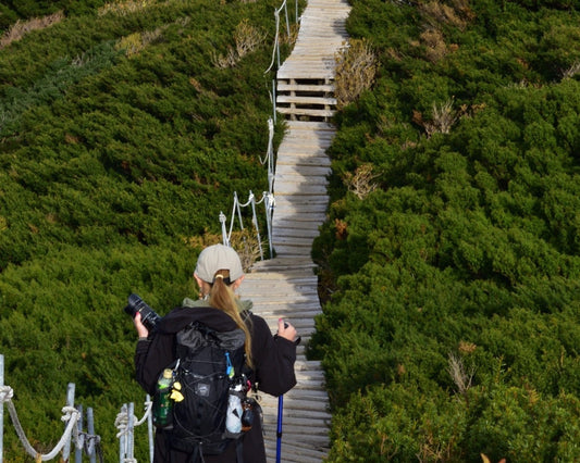 登山 靴下は“5本指”が正解？夏でも快適なメリノウール靴下の選び方