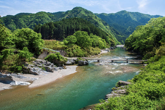 【2026年最新版】初心者も完走しやすいトレイルラン大会（東海地方版）　6選