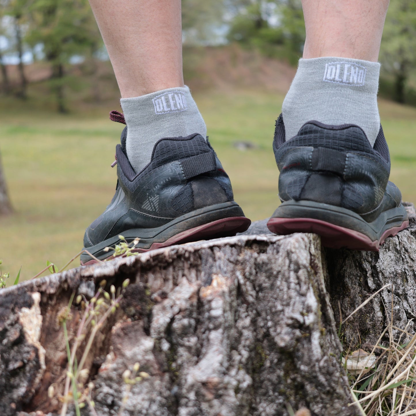 極暖プレミアムギフト（RUN＆デイリーソックスver）