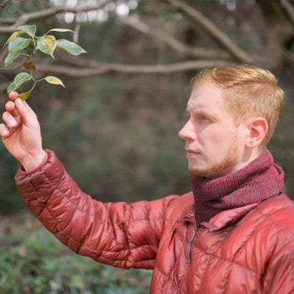 極暖コンフォートギフト（RUN＆デイリーソックスver）